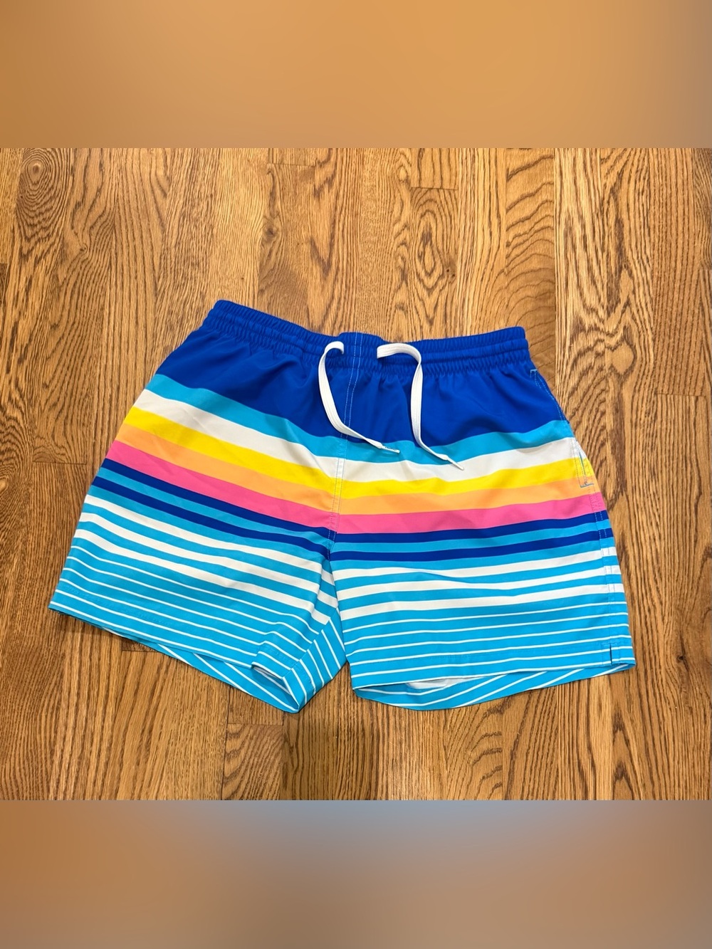 chubbies Bright Blue Multicolor Stripe Swim Trunks